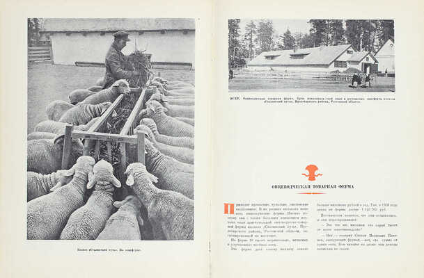 Новое в деревне. [Фотоальбом] / Всесоюзная с.-х. выставка 1939 г. [М.]: Госкиноиздат, 1940.